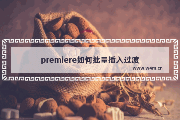 premiere如何批量插入过渡