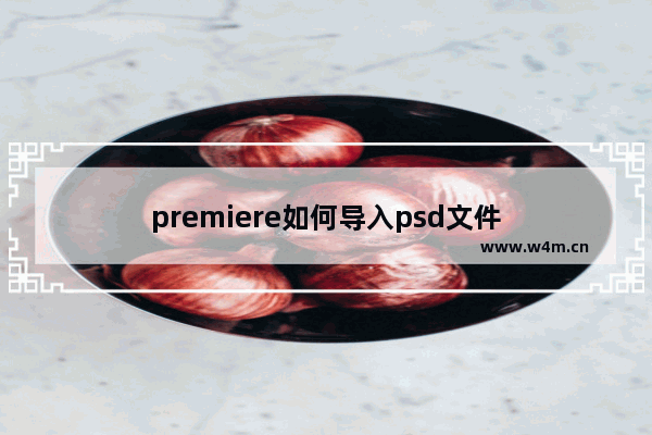 premiere如何导入psd文件