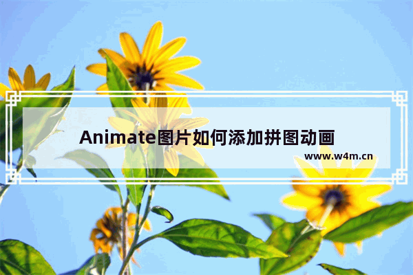 Animate图片如何添加拼图动画