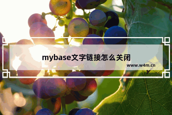 mybase文字链接怎么关闭