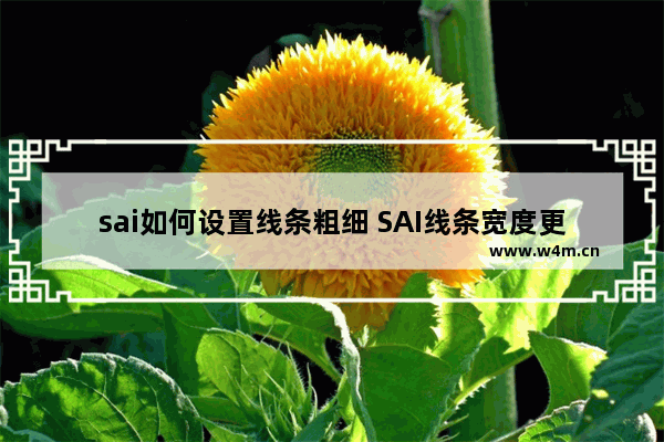 sai如何设置线条粗细 SAI线条宽度更改步骤分享