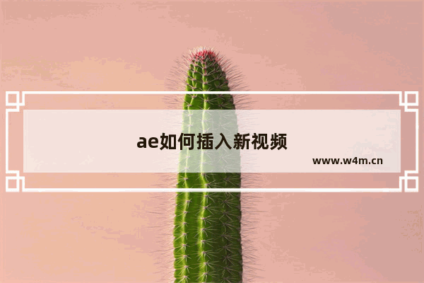 ae如何插入新视频