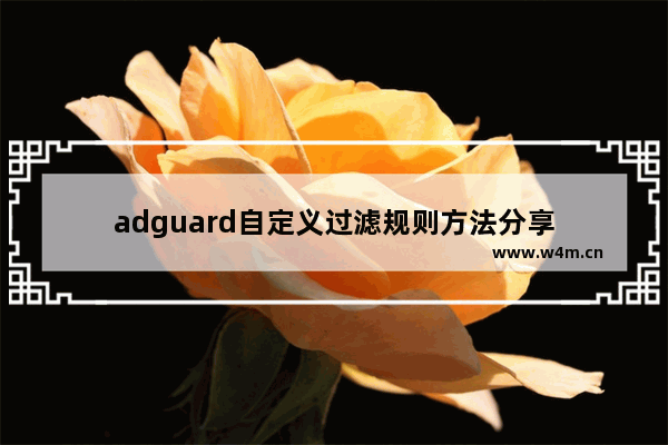 adguard自定义过滤规则方法分享