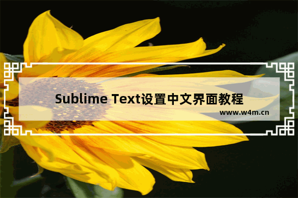 Sublime Text设置中文界面教程分享