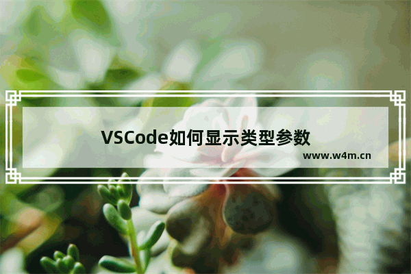 VSCode如何显示类型参数