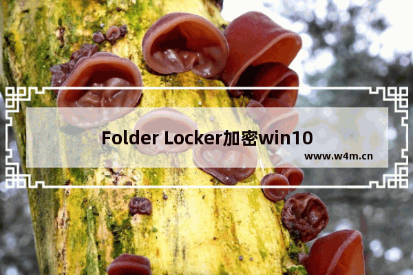 Folder Locker加密win10文件夹方法介绍