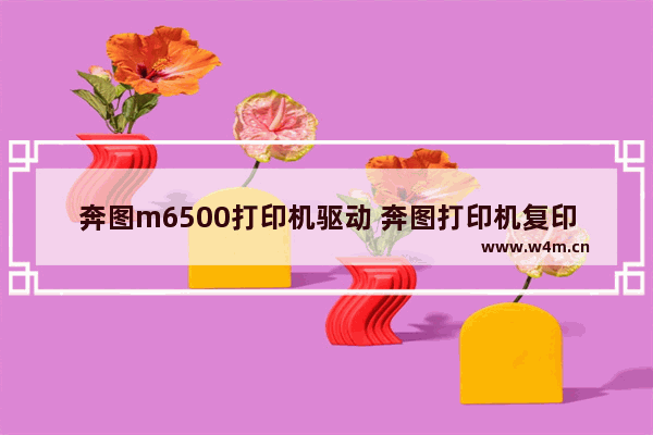 奔图m6500打印机驱动 奔图打印机复印教程