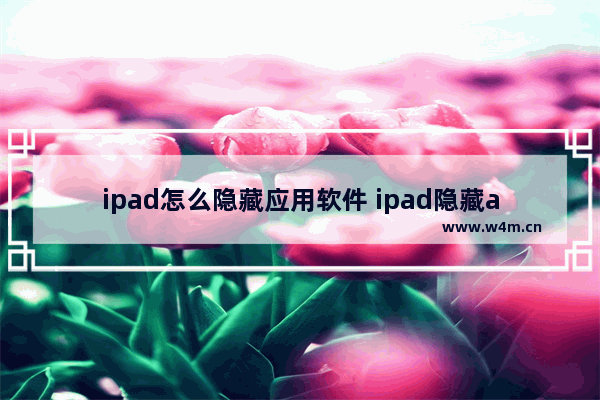 ipad怎么隐藏应用软件 ipad隐藏app软件的办法