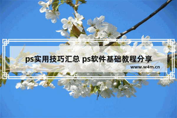 ps实用技巧汇总 ps软件基础教程分享