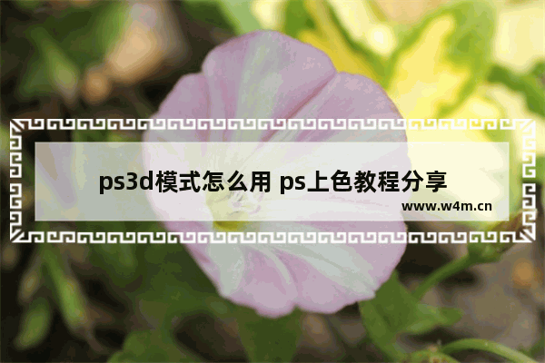 ps3d模式怎么用 ps上色教程分享