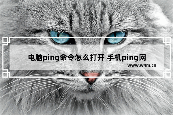 电脑ping命令怎么打开 手机ping网络测试工具