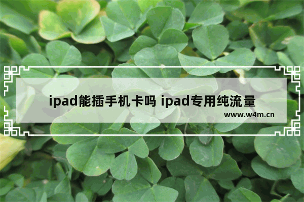 ipad能插手机卡吗 ipad专用纯流量卡的型号