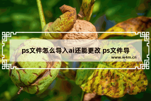 ps文件怎么导入ai还能更改 ps文件导入ai后无法编辑