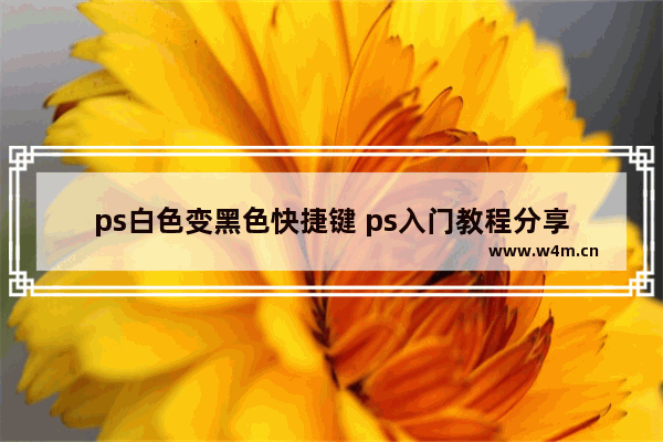 ps白色变黑色快捷键 ps入门教程分享