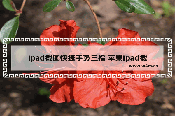 ipad截图快捷手势三指 苹果ipad截图快捷键