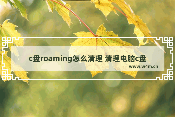 c盘roaming怎么清理 清理电脑c盘垃圾的清理方法