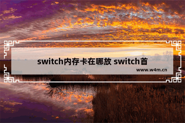 switch内存卡在哪放 switch首次插内存卡的地方