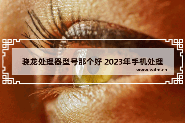 骁龙处理器型号那个好 2023年手机处理器排行榜