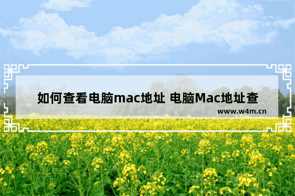 如何查看电脑mac地址 电脑Mac地址查询教程