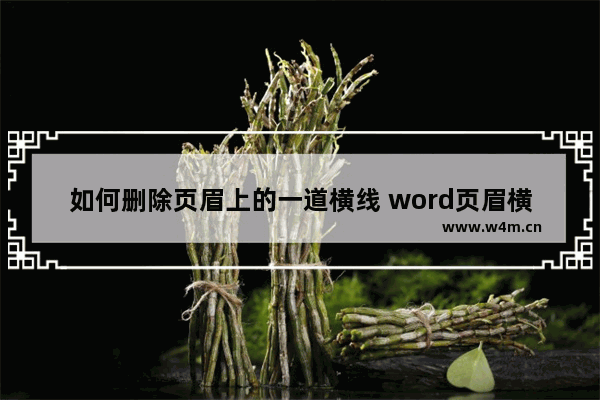 如何删除页眉上的一道横线 word页眉横线清除方法