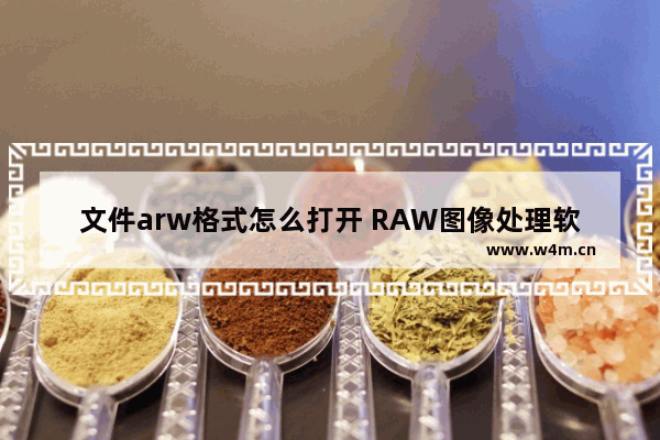 文件arw格式怎么打开 RAW图像处理软件推荐