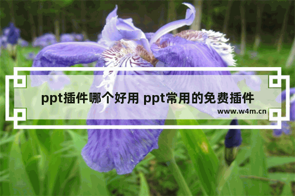 ppt插件哪个好用 ppt常用的免费插件