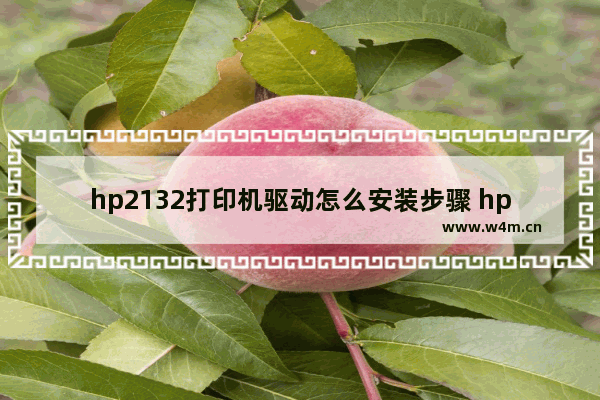 hp2132打印机驱动怎么安装步骤 hp打印机无法打印的原因