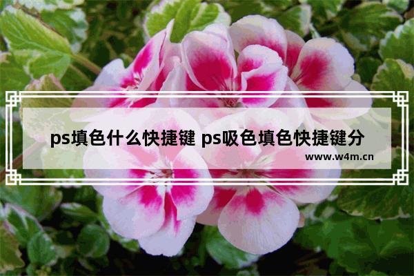 ps填色什么快捷键 ps吸色填色快捷键分享