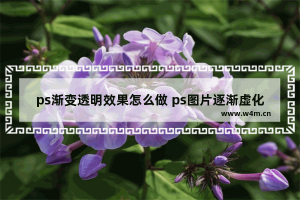 ps渐变透明效果怎么做 ps图片逐渐虚化透明的效果