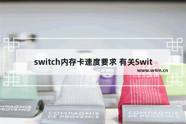 switch内存卡速度要求 有关Switch内存卡推荐