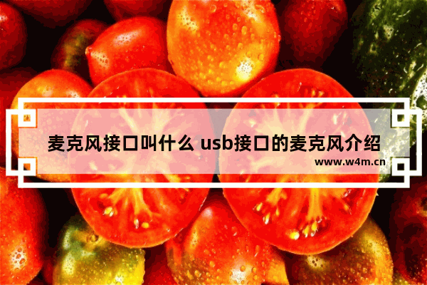 麦克风接口叫什么 usb接口的麦克风介绍