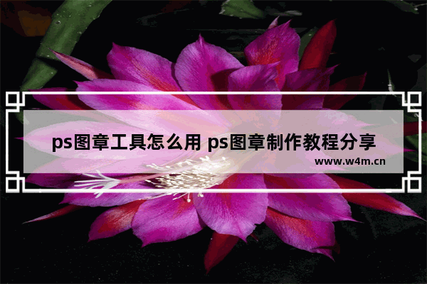 ps图章工具怎么用 ps图章制作教程分享