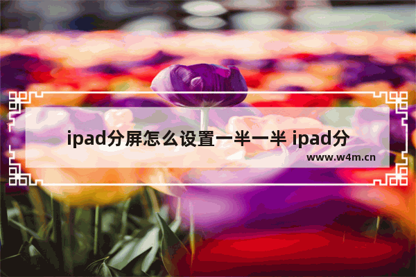 ipad分屏怎么设置一半一半 ipad分屏调整不了比例