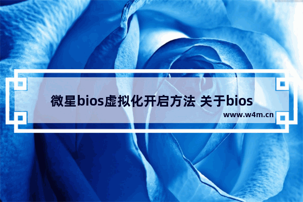 微星bios虚拟化开启方法 关于bios里没有虚拟化开启的选项