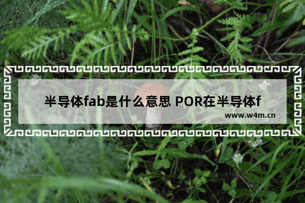 半导体fab是什么意思 POR在半导体fab里是指的意思理解