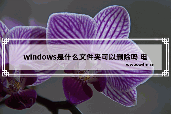 windows是什么文件夹可以删除吗 电脑windows文件夹的删除