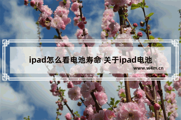 ipad怎么看电池寿命 关于ipad电池寿命查看方法