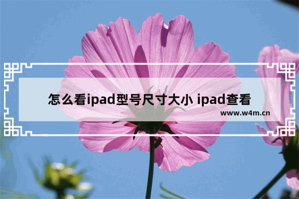 怎么看ipad型号尺寸大小 ipad查看尺寸的办法