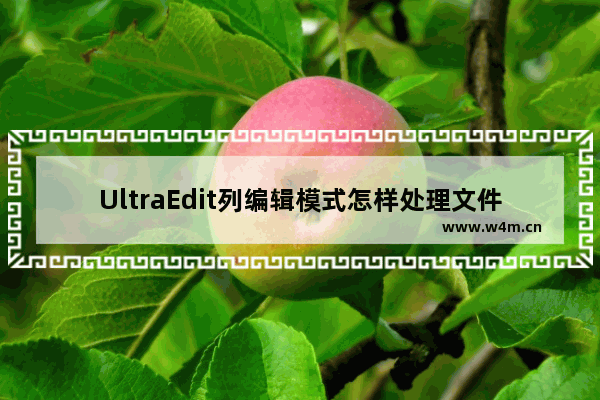 UltraEdit列编辑模式怎样处理文件