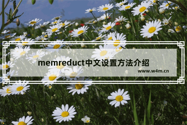 memreduct中文设置方法介绍