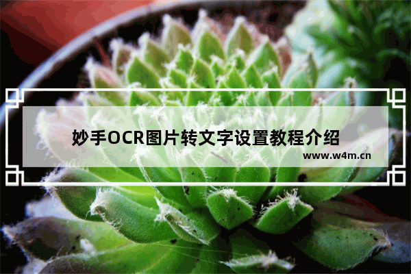 妙手OCR图片转文字设置教程介绍