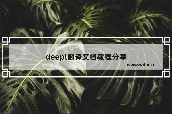 deepl翻译文档教程分享