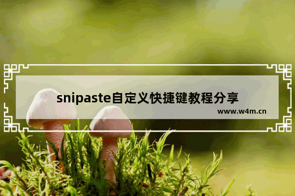 snipaste自定义快捷键教程分享