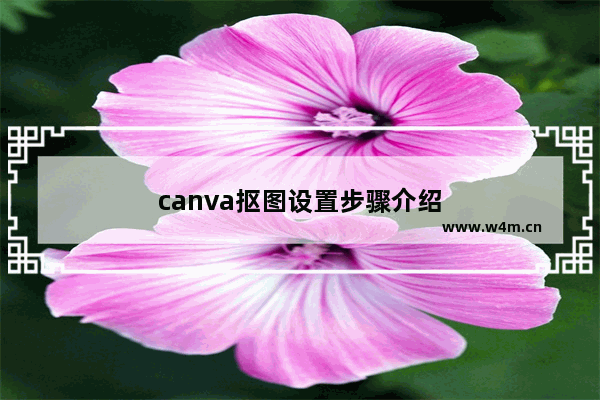 canva抠图设置步骤介绍