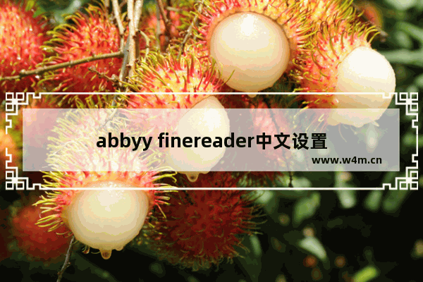 abbyy finereader中文设置教程分享