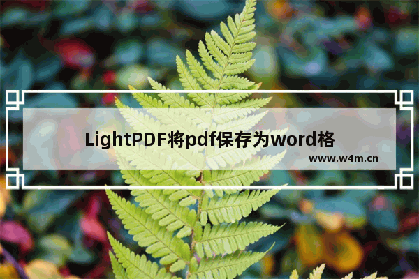 LightPDF将pdf保存为word格式教程分享