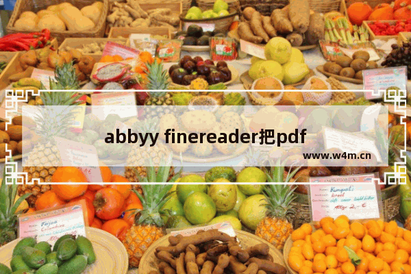 abbyy finereader把pdf转成word文件设置方法分享