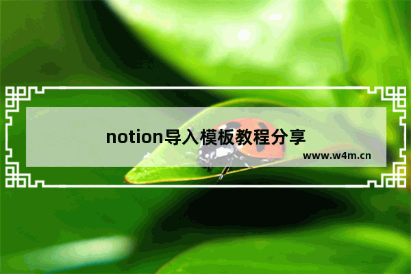 notion导入模板教程分享