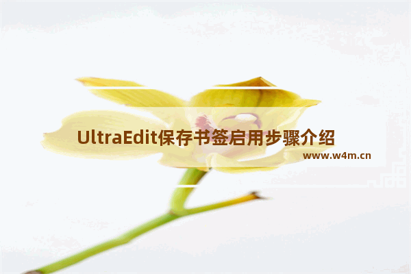 UltraEdit保存书签启用步骤介绍