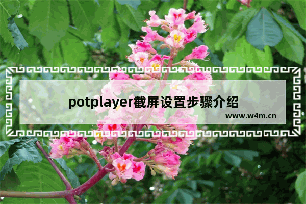 potplayer截屏设置步骤介绍